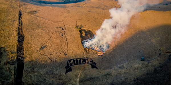 Controlled grassland burning © Schalk Mouton | www.wits.ac.za/curiosity/